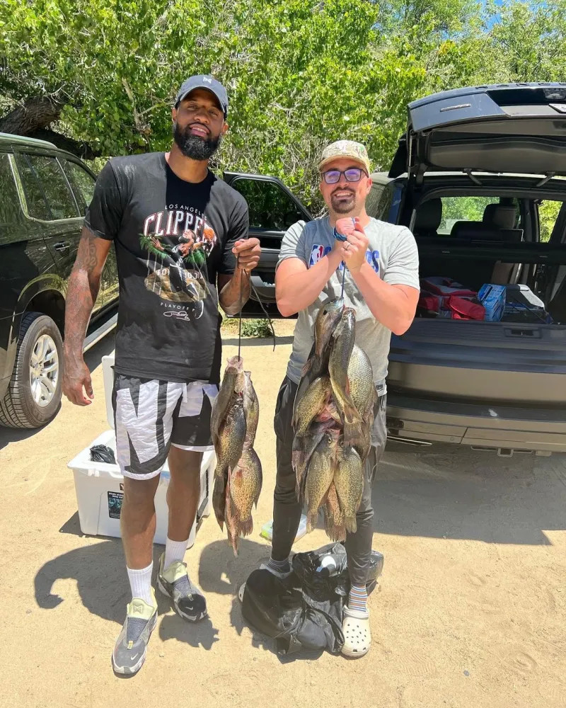 案例分析 案例分析